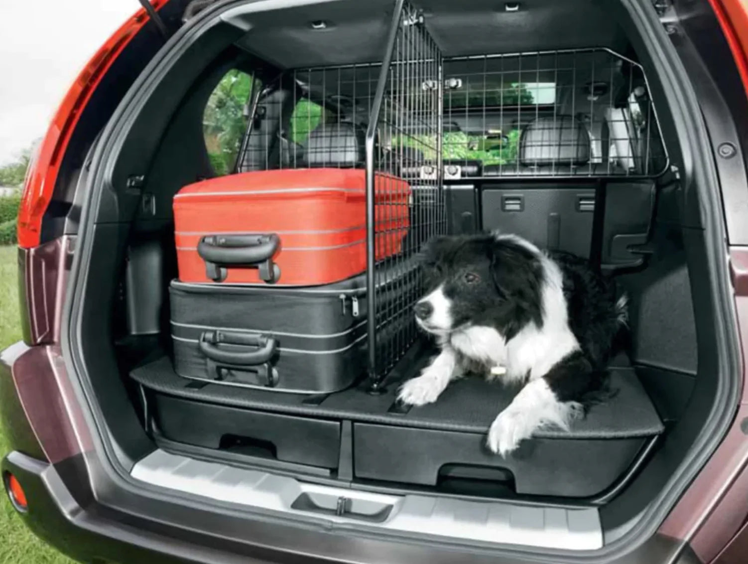 Nissan micra dog sales guard